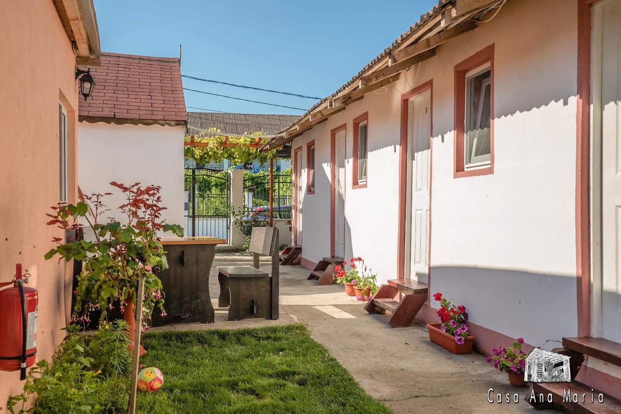 Villa Casa Ana Maria Vama Veche Exterior foto